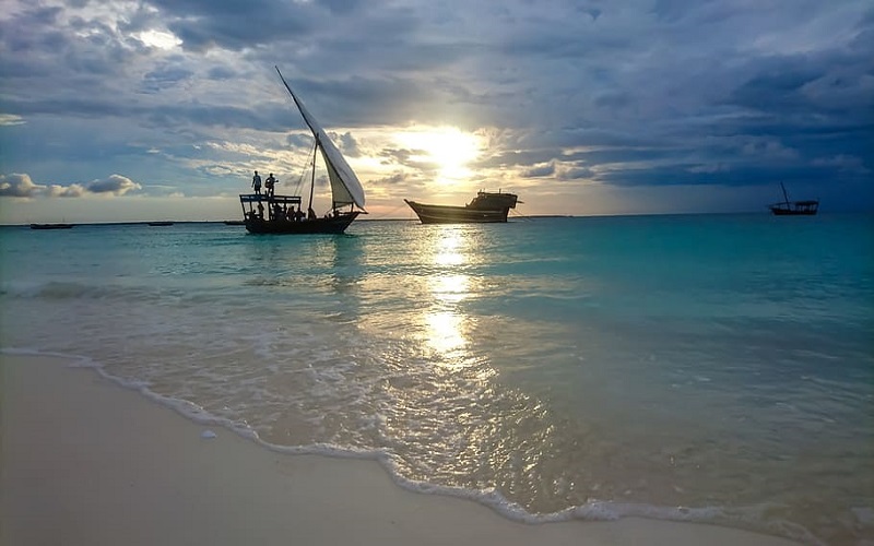 Safari Blue Full-Day Trip: A Perfect Zanzibar Adventure